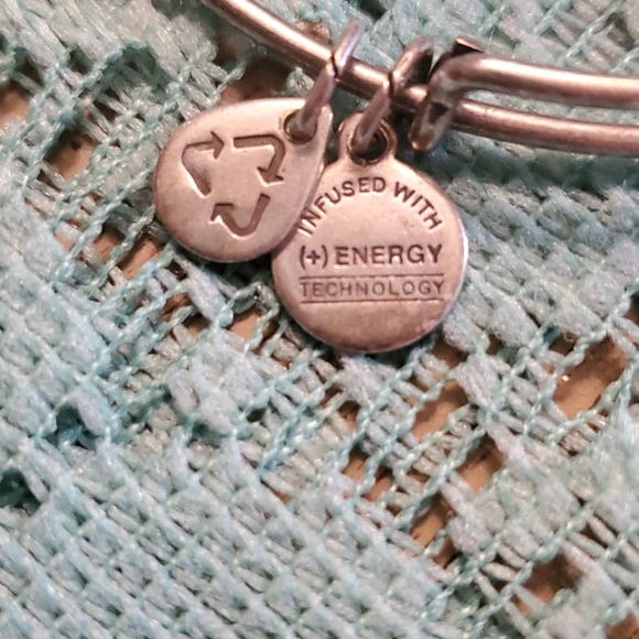 Alex and ani aunt bracelet - Picture 3 of 6